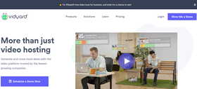 Video Hosting Platforms
