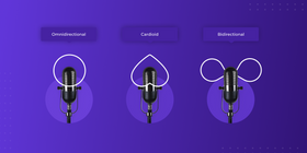 High End Microphone