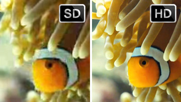 HD Video Streaming